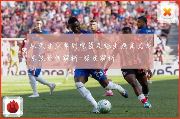 从天才少年到绿茵足球生涯高光与竞技价值解析-深度解析